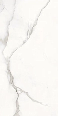 Provenza Unique Marble Calacatta Regale Silktech 30x60 / Провенца Унике Марбл Калакатта Регале
 Силктех
 30x60 